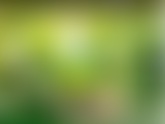 DCM Shriram LimitedThe National Biodiveristy Authority