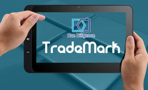 Exercise Diligence And Show Bonafide Before Fixing Third Party Marks: Bombay High Court