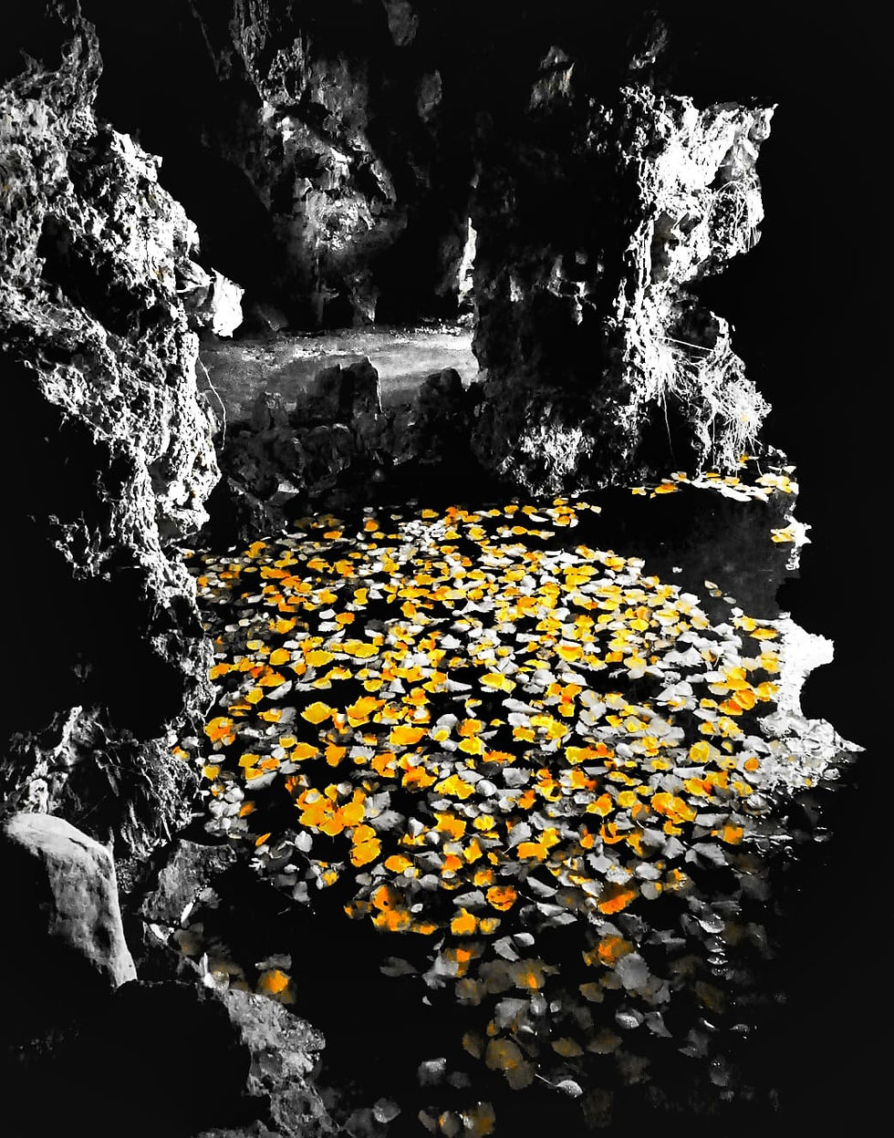 Nature_2023 @lanathamandra
