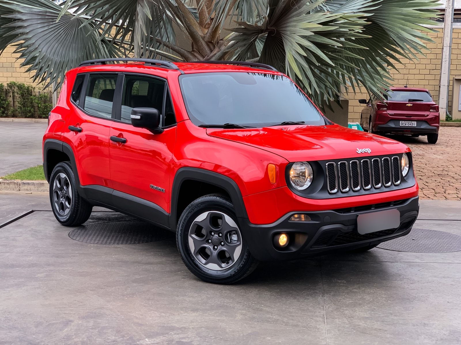 RENEGADE SPORT