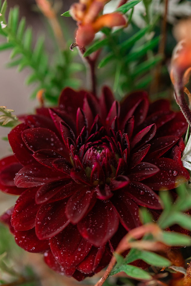 closeup of bouquet