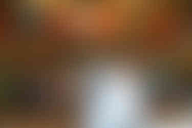 Bride and Groom Photos at Circus