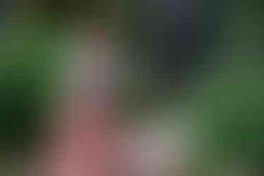 bridesmaid and ring bearer walk down the aisle