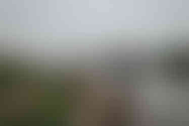 groomsmen fishing before the ceremony