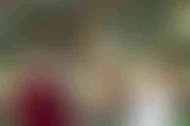 Bride and Maid of Honor Looking at Each Other