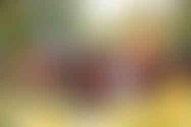 Calgary wedding planning with large wedding party