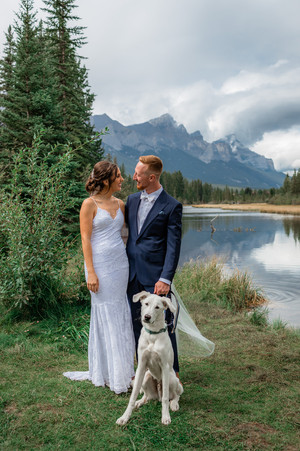 How to have your dog in your wedding