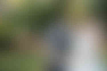 Calgary Wedding Couple Holding Thank you Sign at the Zoo