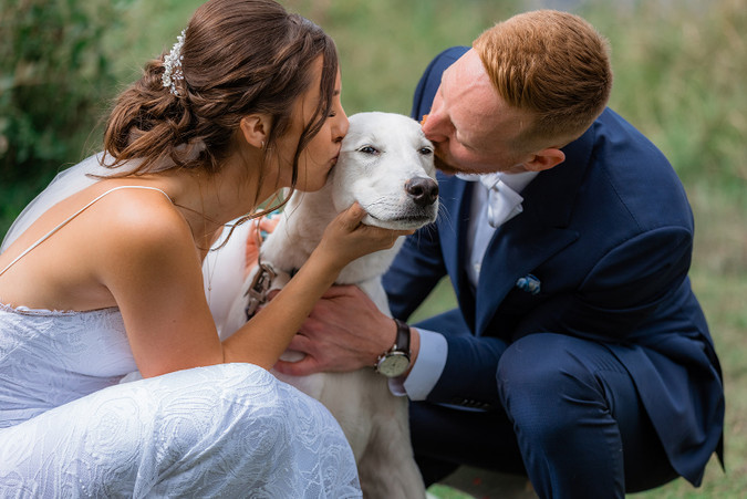 bride and groom kiss their dog