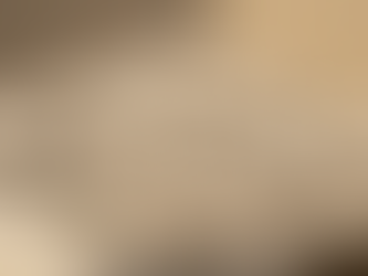 What’s Next for Hivana — Year Two Begins