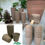 Thumbnail: Jiffy Eco Fibre Plant Seed Pots Biodegradable 6cm or 8cm