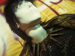 elise passavant photography