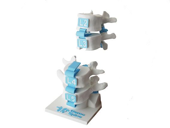 Floating vertebrae_3x.jpg