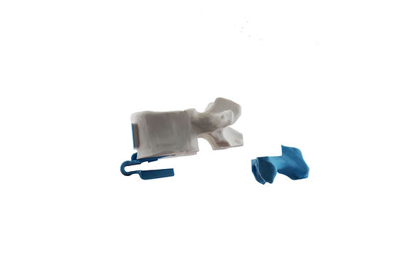 3d-spine-model-removable-resections