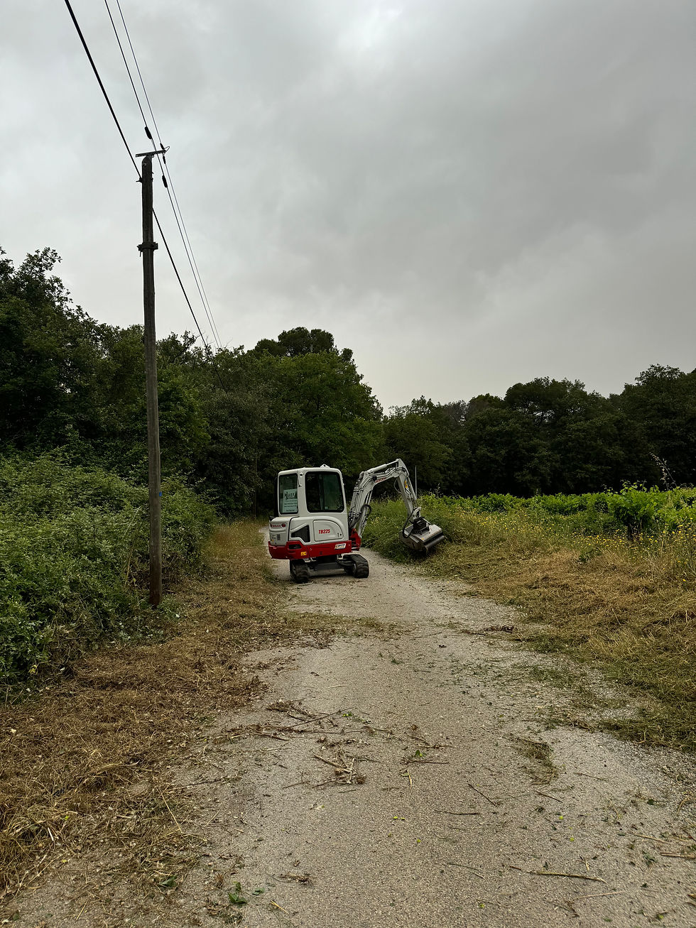 IMG_7925.jpeg