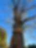 IMG_6816.jpeg