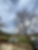 IMG_9257.jpeg