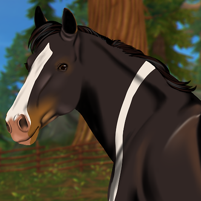 horse-4100412_1280.png