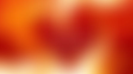 Ogłoszenia na XX niedzielę w ciągu roku