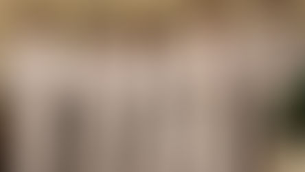 Ustanowienie lektorów