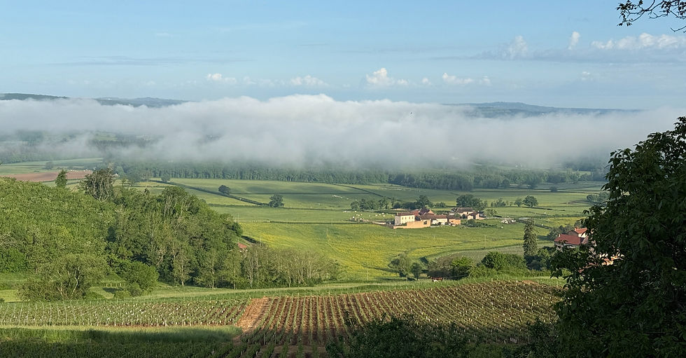 Morning over the valley. Taizé is on the other side