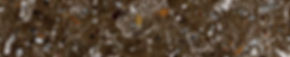 rock thin section brightfield scan