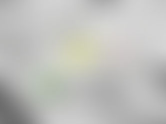 Decifra la tua bolletta elettrica con la nostra guida completa. Scopri come leggere ogni voce e inizia a risparmiare sui tuoi costi energetici.