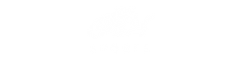 dlz_textonlywhite.png