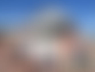 Our Thoughts on The Disney Wish