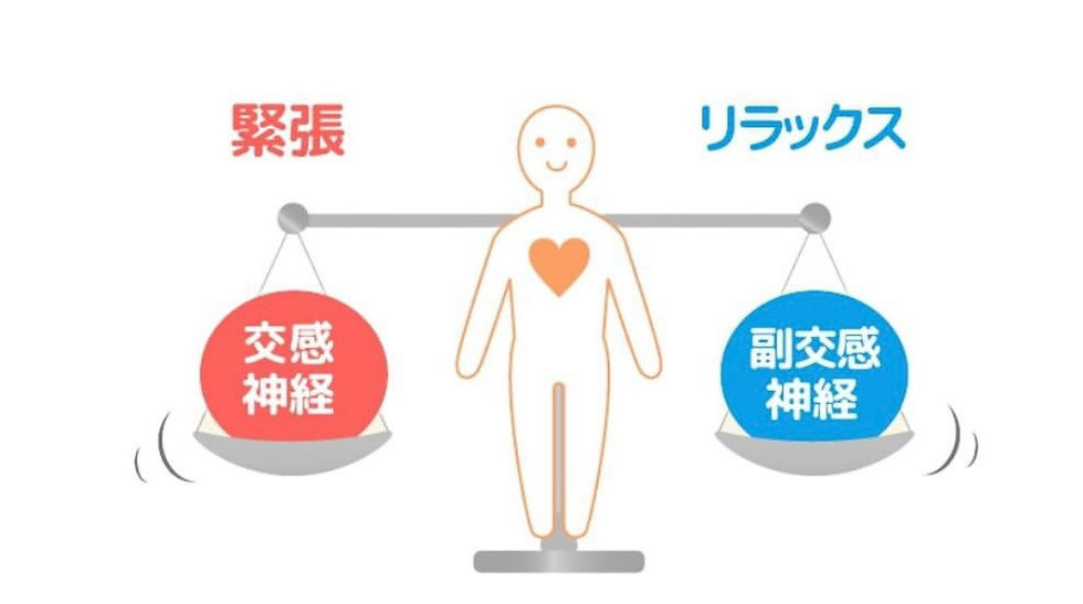 天秤で交感神経と副交感神経を示すイラスト。中央に心臓マークの人が描かれ、緊張とリラックスのバランスを表現。