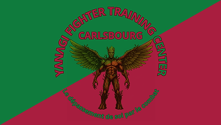 Yanagi Fighter TrgC Drapeau.png