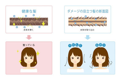【連載 Vol.3】梅雨時期の縮毛矯正は逆効果⁉︎（髪の病院TOKYO）