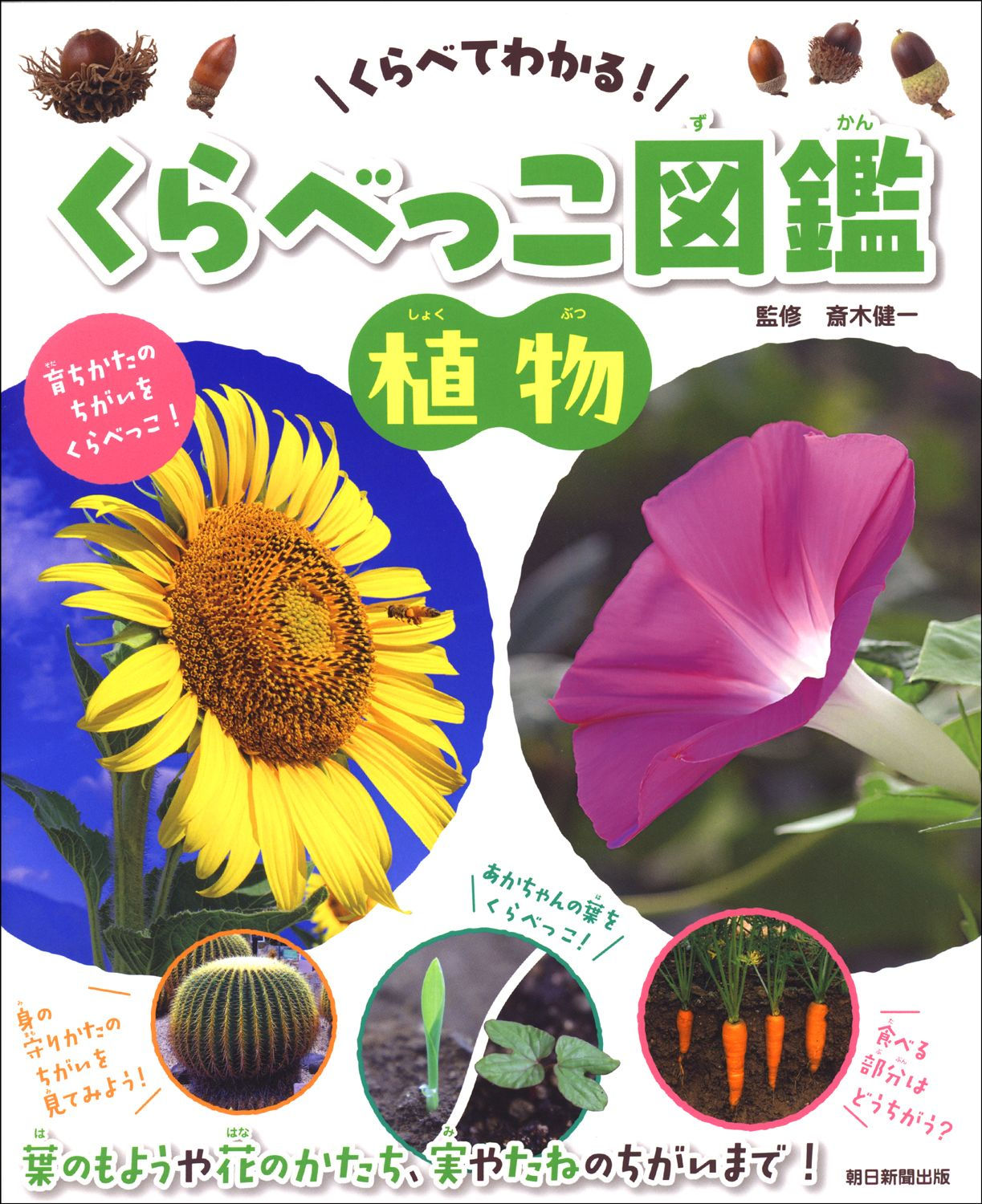 くらべっこ図鑑 植物