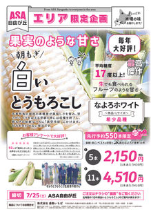 名寄の白いとうもろこし・黄色いとうもろこし恵味(めぐみ)