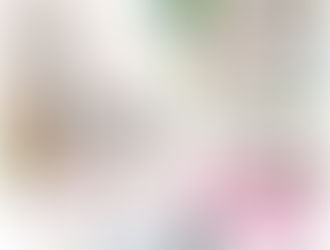 名寄の白いとうもろこし・黄色いとうもろこし恵味(めぐみ)