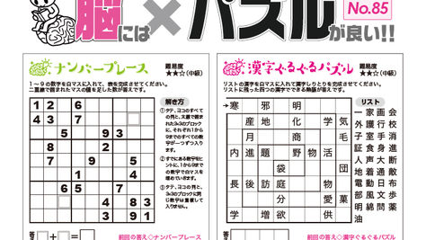 パズルNo.85