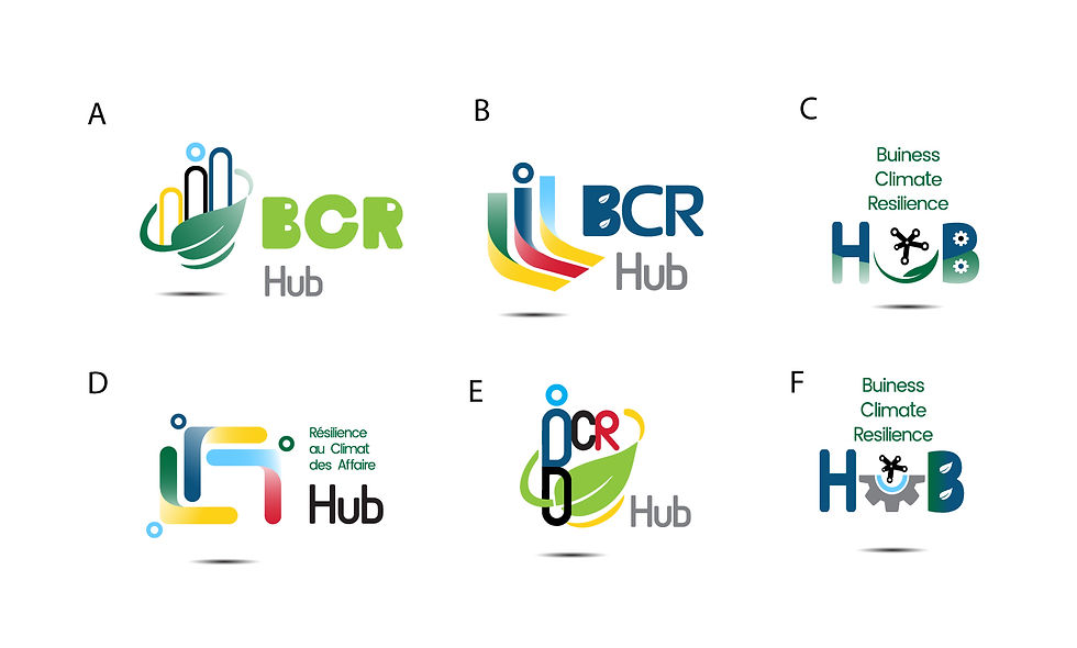 BCRH logo options