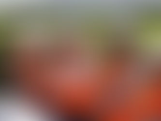Tepeaca de Negrete, Puebla. Lunes 21 de julio de 2025