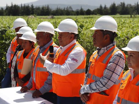 Tepeaca de Negrete, Puebla. Lunes 21 de julio de 2025