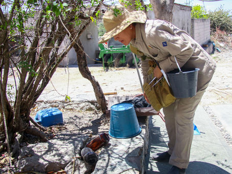Dengue disminuye el 81% en Puebla.