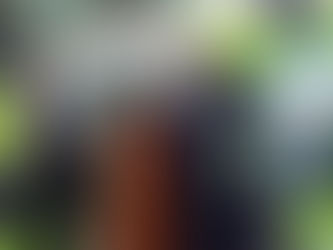 ¿Quién fue el ganador de un automóvil último modelo del Sorteo Pago Anual Anticipado de Agua de Puebla?