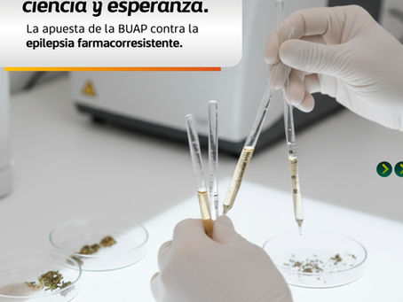 Estudian en la BUAP cannabinoides para tratamiento de epilepsia