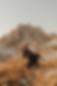 RMP_1705-min.jpg