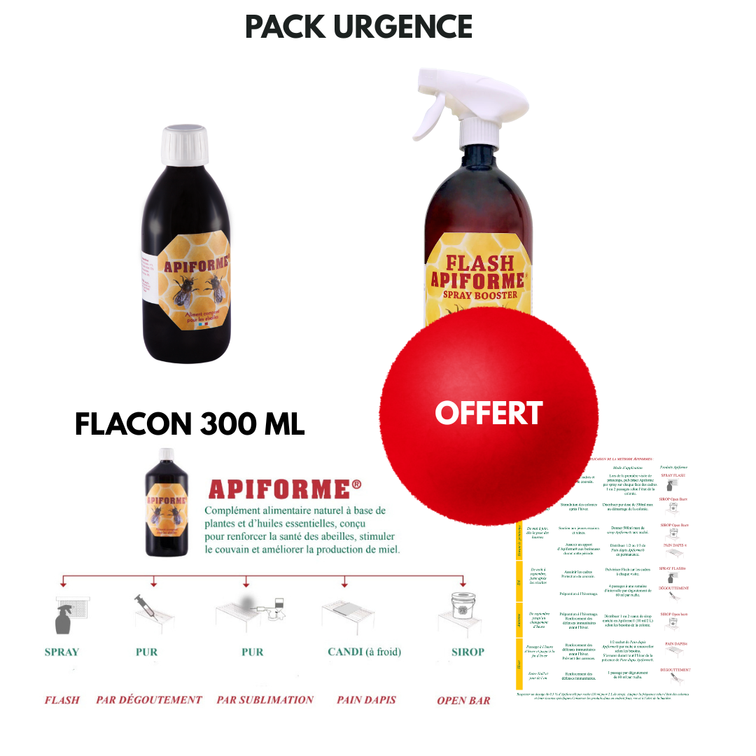 PACK URGENCE SURVIE ( HIVER 2025 )