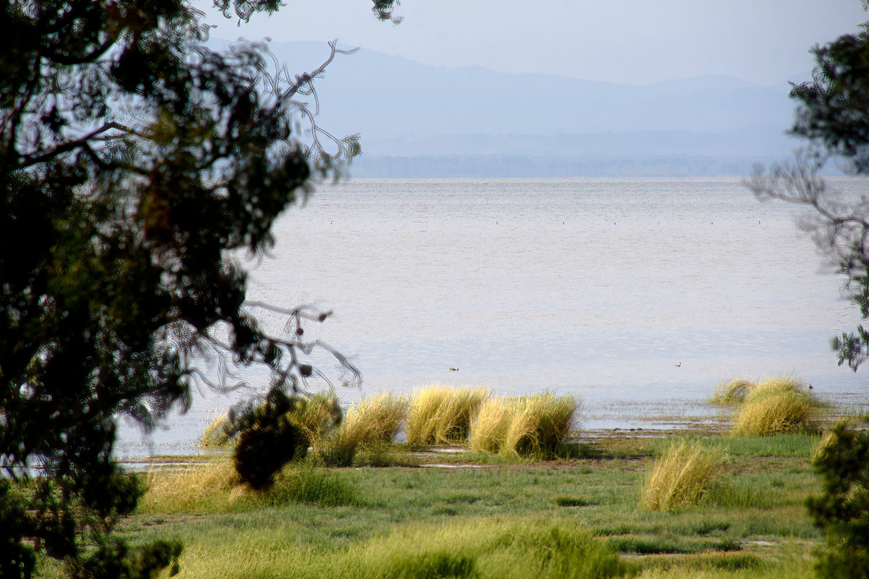 Australiana #021