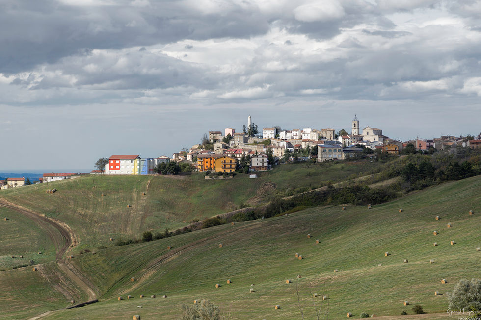 _DSC0449-Edit-3-copy.jpg