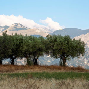 Travel Landscapes