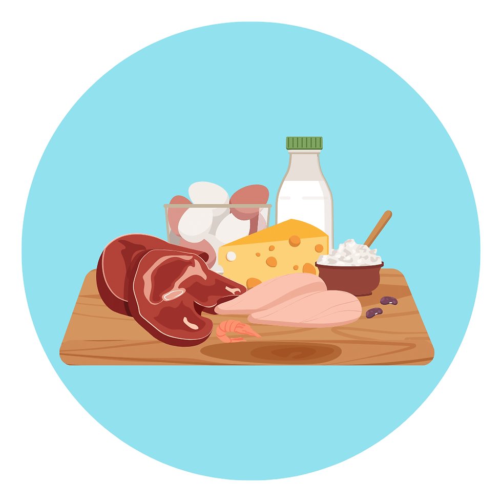 PROTEINAS