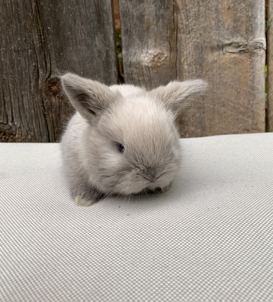 Sweet, chubby baby!