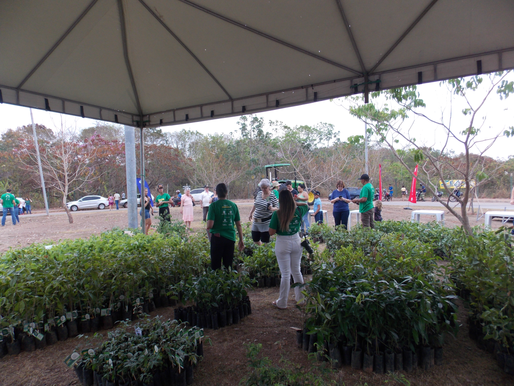 Prefeitura de Rondonópolis apoia evento que vai distribuir 6 mil mudas de árvores